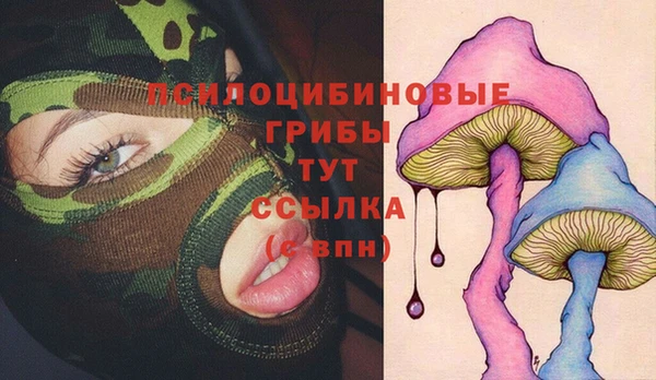 ECSTASY Аркадак